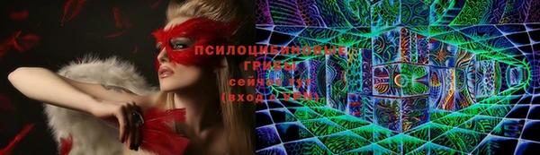 молекула духа Михайловка