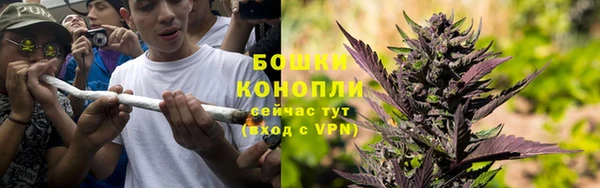 молекула духа Михайловка