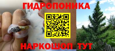 шишки Ирбит