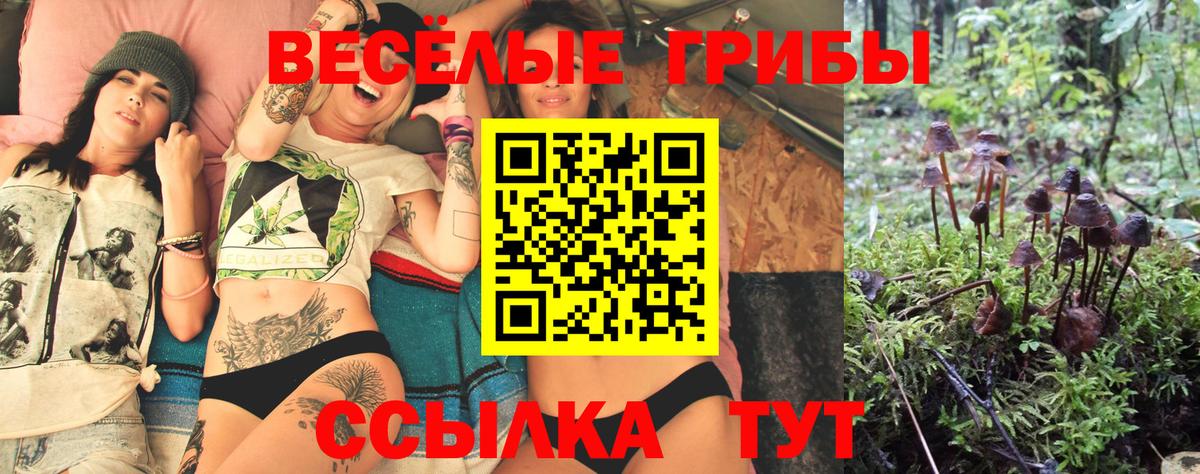 Псилоцибиновые грибы мицелий  Вход с VPN  Назрань  Галлюциногенные грибы GOLDEN TEACHER 