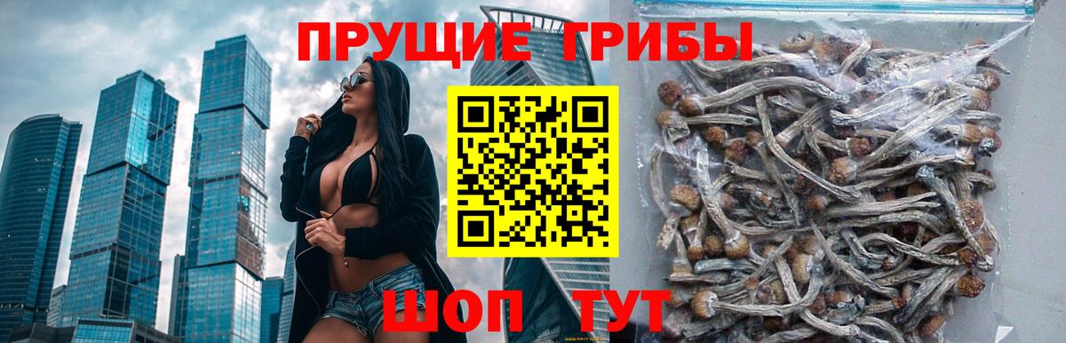 Галлюциногенные грибы GOLDEN TEACHER Назрань